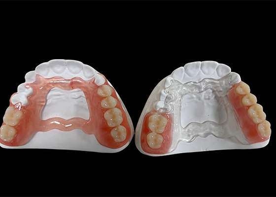 شراء أطقم أسنان قابلة للإزالة جزئية ، أطقم أسنان قابلة للإزالة للمضغ والكلام online manufacture